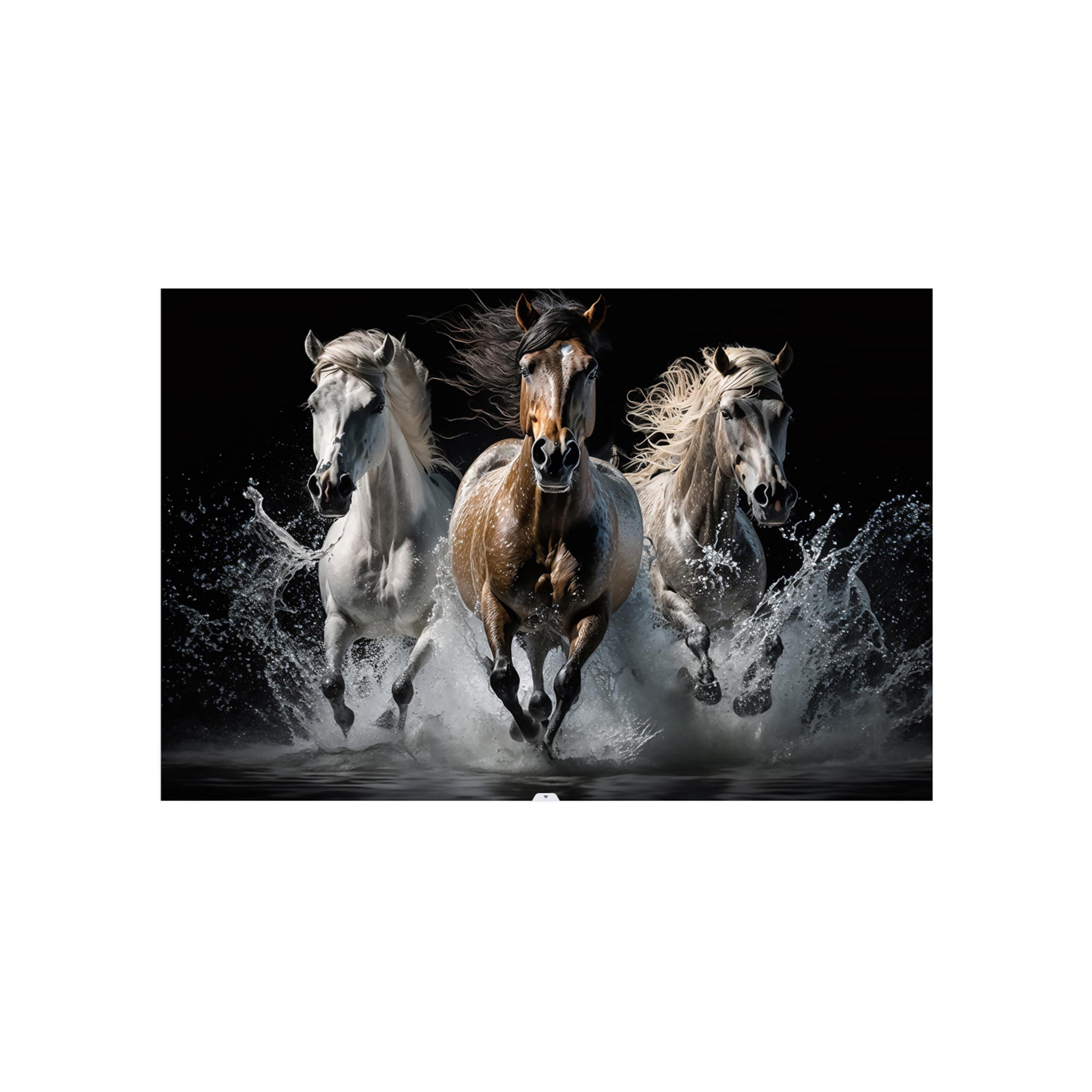 Wall Art 42x52cm Mix 4 designs - E-1025